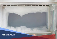 Sat Set Langsung Beres, Begini Cara Membersihkan Bunga Es di Freezer 