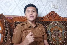 Pemkab Bengkulu Utara Pastikan PPPK Tak Dirumahkan, Ini Penjelasan Kepala BKAD