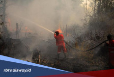 10 Provinsi Ini Paling Rentan Karhutla, Daerahmu Termasuk?
