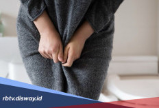Cara Alami Menghilangkan Kutu Kelamin yang Bisa Dicoba di Rumah