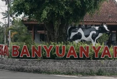 Intip Kisah Desa Banyuanyar, Desa Ramah Lingkungan yang Terus Maju Lewat  Pemberdayaan Desa BRILiaN