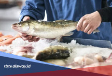 Dear Ayah Bunda, Ini 5 Rekomendasi Ikan yang Bagus untuk Kecerdasan Otak Anak