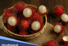 5 Manfaat Buah Rambutan untuk Kesehatan Tubuh, Buah Musiman yang Kaya Gizi