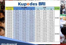 Pinjaman Kupedes BRI Rp 55 Juta Bisa untuk Modal Apa saja? Ini Tabel Angsurannya