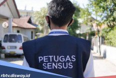 Petugas Sensus Ekonomi Harus Punya Ketelitian Tinggi, Benarkah?