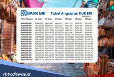 Informasi Terbaru KUR BRI Januari 2026, Angsuran Pinjaman Mulai Rp 1 Juta Cuma Rp 86 Ribuan
