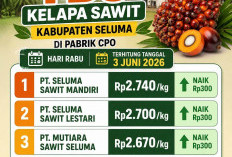 Pemprov Bengkulu Terbitkan Harga Penetapan Baru TBS Kelapa Sawit