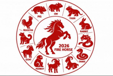 Didekap Kebahagiaan, 3 Shio ini Diprediksi Bakal Dihampiri Rezeki Nomplok Tak Terduga di Bulan April 2026 