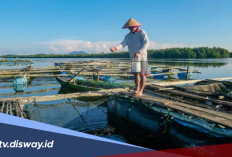 Cek Simulasi Tabel Cicilan KUR BRI 2026 Pinjaman Rp 65 Juta