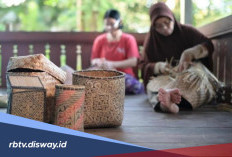 KUR BRI Rp 10 Juta Bantu Tingkatkan Usaha, Angsurannya Nggak Bikin Boncos