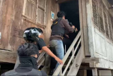 Target Kabur Sebelum Digerebek! Polres Kaur Bongkar Sarang Narkoba di Padang Guci Hulu