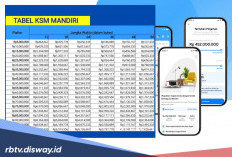 Apa Saja Faktor Utama Pembatalan atau Pemberhentian KSM Mandiri? Berikut Jawabannya!