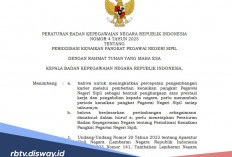 PNS Bisa Naik Pangkat Setiap Bulan, Ini Syarat dan Ketentuannya