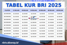 Tabel Pinjaman KUR BRI Terbaru Bulan Desember 2025, Ada Pilihan Angsuran Rp 21 Ribu per Bulan