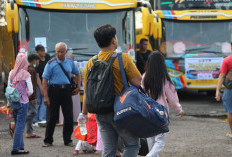 Mudik Gratis Bank Mandiri 2026: Berikut Cara Daftar, Rute dan Jadwal Keberangkatan