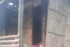 5 Hari Berangkat ke Kebun, Warga Kepahiang Ditemukan Meninggal Dunia