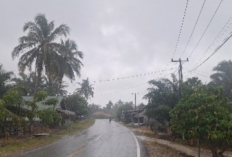 Prakiraan Cuaca Saat Nataru 2025: Ini Wilayah yang Berpotensi Dilanda Hujan, Termasuk Bengkulu?