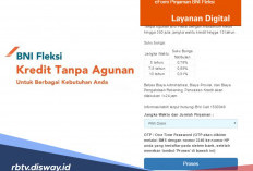 Cicilan BNI Fleksi Aktif Lewat Gaji Per Bulan, Pinjaman Rp 100 Juta Segini Angsuran per Bulannya