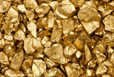 6 Million Tons of Gold Still Buried in the Soil of Pohuwato, Indonesia