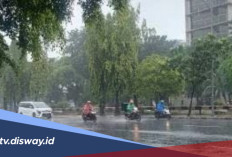 Ini 5 Tips Berkendara Saat Musim Hujan, Perjalanan Tetap Aman dan Nyaman