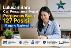 Lulusan Baru Cari Pengalaman Kerja? Perpusnas Buka 127 Posisi Magang Nasional, Disiapkan Uang Saku