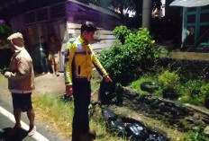 Hilang Kendali di Tikungan Lubuk Kebur Seluma, Pengendara Yamaha R15 Meninggal Dunia Usai Tabrak Parit Beton
