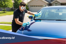 Tanpa Salon Mobil! Ini Bahan Rumahan yang Ampuh Hilangkan Jamur di Bodi Mobil