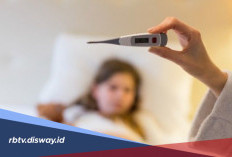 Obat Demam Berdarah yang Bisa Membantu Meredakan Gejala dan Mendukung Pemulihan