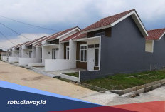 Rumah Type 36 Terasa Sempit? Coba 7 Trik Renovasi Ini agar Ruangan Terlihat Lebih Luas
