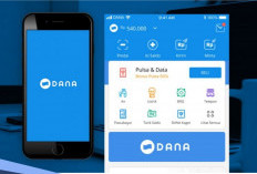 Ingin Hasilkan Saldo DANA Tiap Hari? Coba Pakai Aplikasi Ini