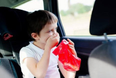 Persiapan Mudik Lebaran, Ini 6 Obat Mabuk Perjalanan yang Bisa Dibeli di Apotek, Harga Terjangkau