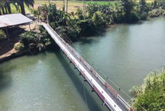 Penampakan Jembatan Gantung Perintis Garuda di Seluma Selatan yang Hampir Rampung