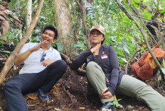 Utusan Khusus Presiden Tinjau Wisata Kemumu, Jadi Sinyal Kuat Pengembangan Wisata Nasional