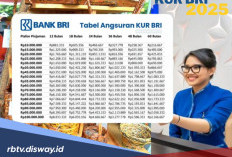 Angsuran Rp 200 Ribu per Bulan untuk Pinjaman KUR BRI Rp 50 Juta? Cek Syarat KUR BRI Berikut