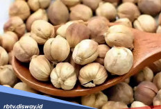 Dijuluki ‘Raja Rempah’, Berikut 5 Manfaat Kapulaga untuk Kesehatan