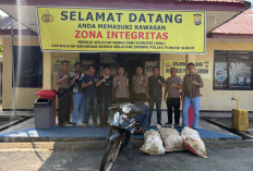 Baru Selesai Sertijab, Kapolsek Pondok Suguh Amankan Pencuri TBS Kelapa Sawit 
