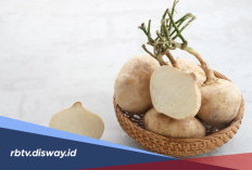 Bukan Cuma Enak Dimakan, Ini Manfaat Ajaib Masker Bengkoang dan Cara Membuatnya