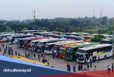 Daftar Harga Tiket Bus Bali–Yogyakarta Terbaru 2026, Cek Jam Perjalanan
