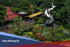 Promo Merdeka 17 Agustus 2026, Harga Tiket Masuk KBS Cuma Rp 10 Ribu 