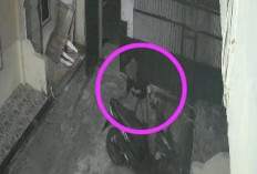 Musang Ranmor Terekam CCTV Gasak Motor Mahasiswi di Kota Bengkulu