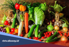 Ingin Mata Tetap Sehat? Yuk Coba Konsumsi 5 Sayuran Ini