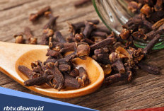 Tidak Banyak yang Tahu, Ini 8 Manfaat Cengkeh untuk Kesehatan