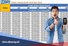 KUR BRI Terbaru, Pilihan Pinjaman Sampai Rp 100 Juta Angsuran Rp 200 Ribu, PNS Bisa Ikut Pinjam