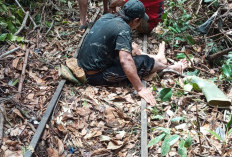 Rel Molek di Lebong Tandai Putus Diterjang Longsor, Gerbong Angkutan Logistik Terjun ke Jurang