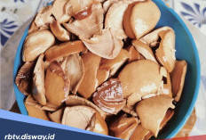 Sebelum jadi Kluwek, Ini 4 Manfaat Buah Kepayang untuk Kesehatan