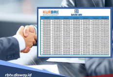 KUR PNS, BRI Bisa Berikan Pinjaman KUR hingga Rp 500 Juta, Ada Pilihan Angsuran Rp 833 Ribu per Bulan