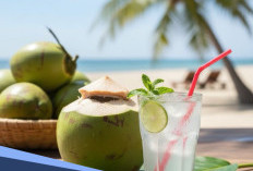 Suka Minum Air Kelapa Muda? Ini 5 Manfaatnya untuk Kesehatan