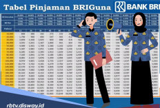 Syarat Pinjaman BRIguna Karyawan untuk ASN 2026, Pengajuan Lebih Praktis dan Cepat Cair