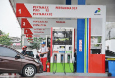 Bahlil Buka Suara soal Harga BBM Pertalite-Biosolar, Naik atau Tetap?