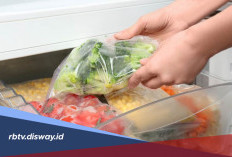 Tips Menyimpan Sayuran di Kulkas agar Tetap Segar dan Tahan Lama